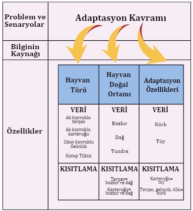 “Şekil 7. Adaptasyon kavramını ölçmeye yönelik Fen Bilgisi dersi madde modeli Kaynak. Gierl ve Haladayna, 2012, 37”