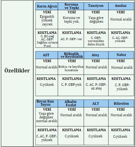 Şekil 12. Safra taşı komplikasyonlarını teşhis etmek için gerekli bilgi ve problem çözme becerilerini belirleyen bilişsel model Kaynak. Gierl ve Haladayna, 2012, 33