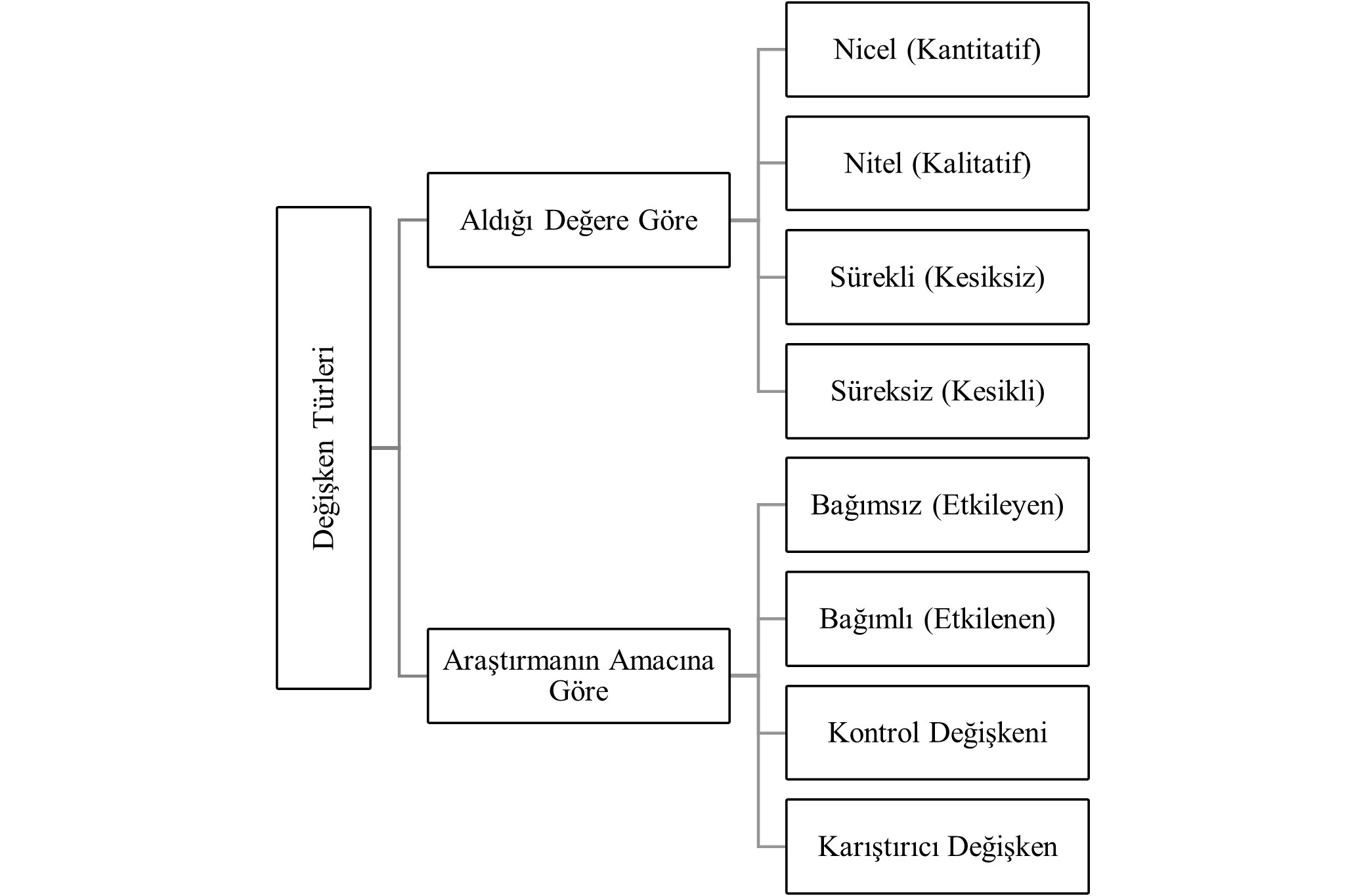Şekil 1. Değişken Türleri