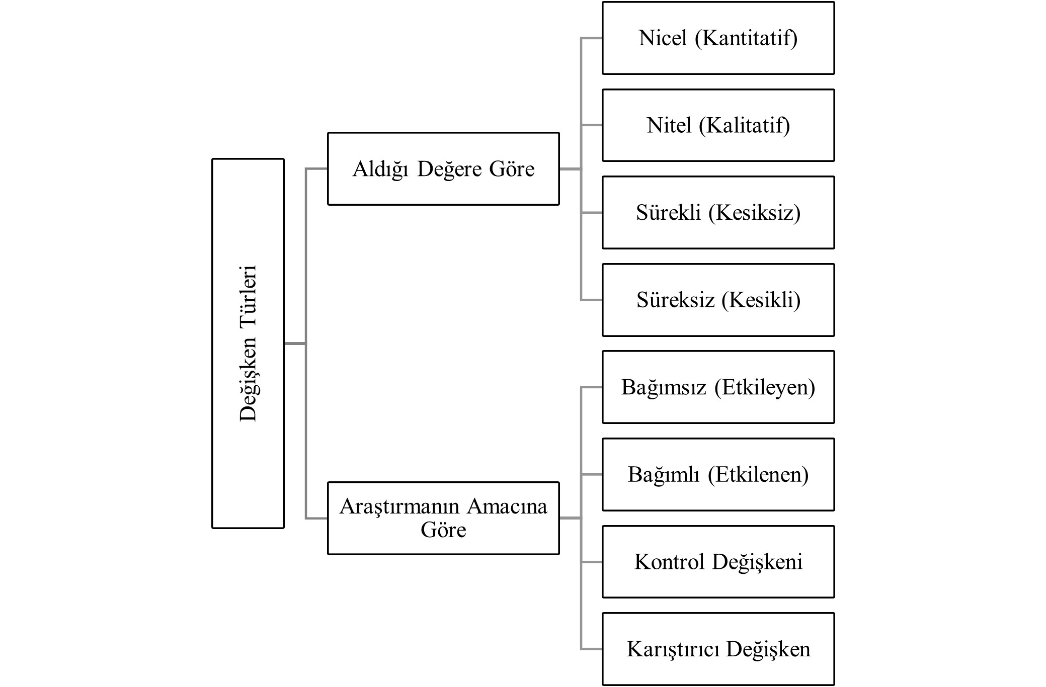 Şekil 1. Değişken Türleri