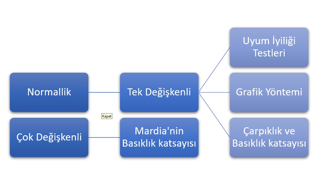 Şekil 16. Normal Dağılımın Test Edilmesi